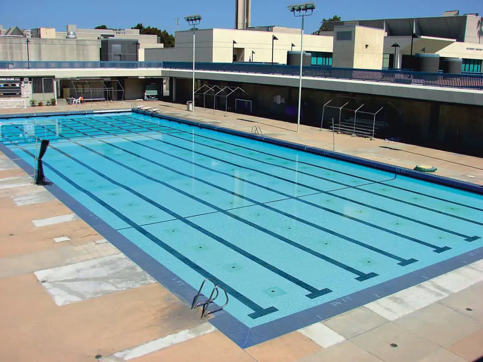 Olympic Pool Lane Size