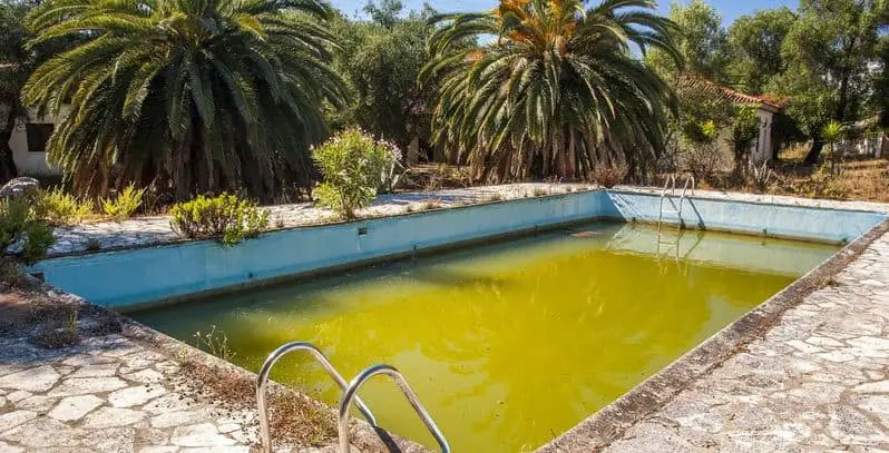 brown swimming pool water