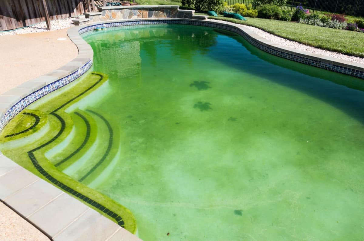 Is it Safe to Swim in a Green Swimming Pool? - Pool Buyer Guide